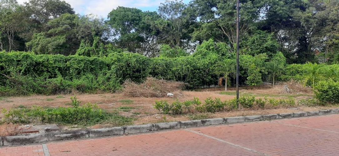 Lote en venta en Ricaurte, Ricaurte, 495 m² · foto 11 de 15