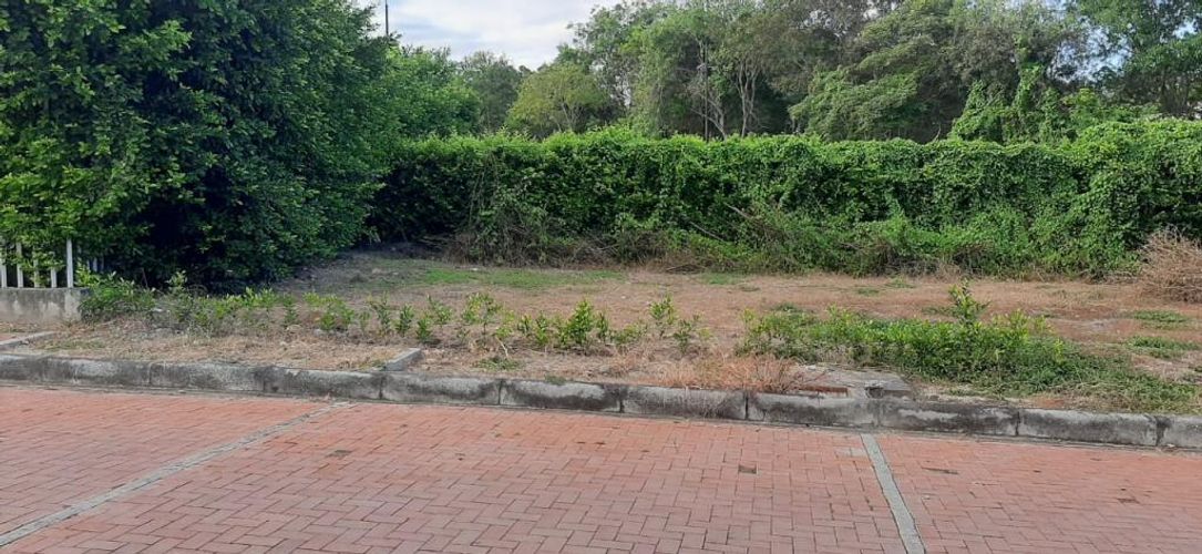 Lote en venta en Ricaurte, Ricaurte, 495 m² · foto 12 de 15