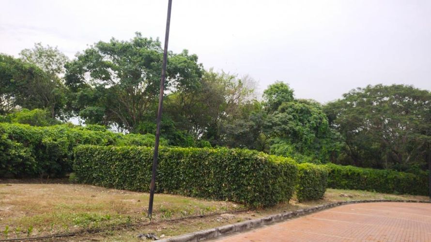 Lote en venta en Ricaurte, Ricaurte, 495 m² · foto 13 de 15