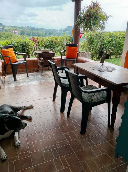 Finca en venta en Tribunas Corcega, Pereira, 200 m² · foto 4 de 24