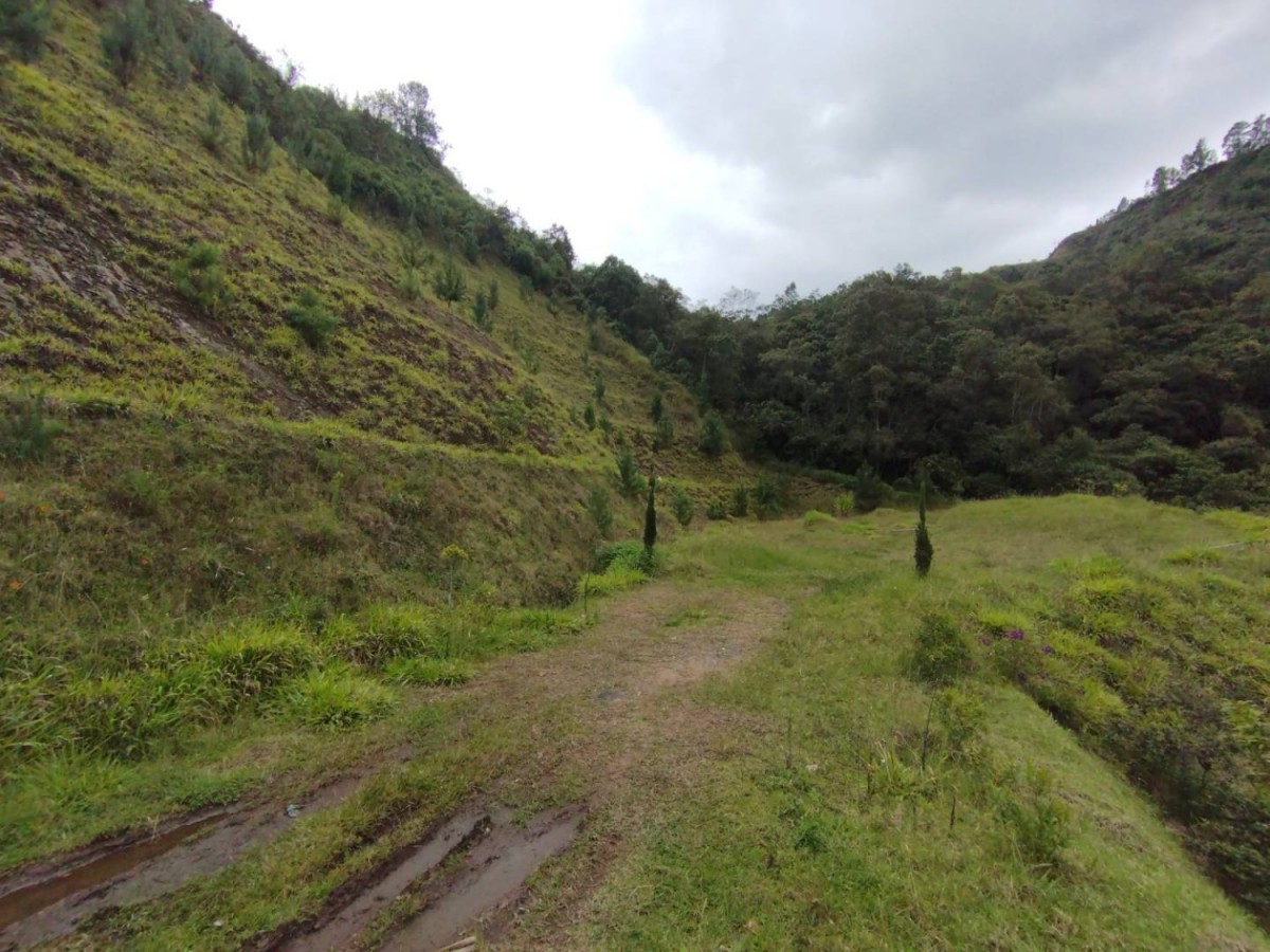 Land in Lejos del nido (3318 m²) for Sale - 2