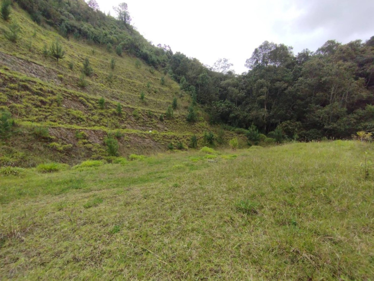 Land in Lejos del nido (3318 m²) for Sale - 4