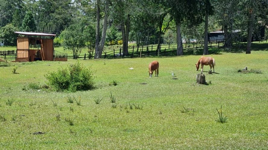 Lote en venta en Pantanillo, El Retiro, 7540 m² · foto 3 de 13