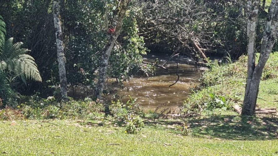 Lote en venta en Pantanillo, El Retiro, 7540 m² · foto 8 de 13
