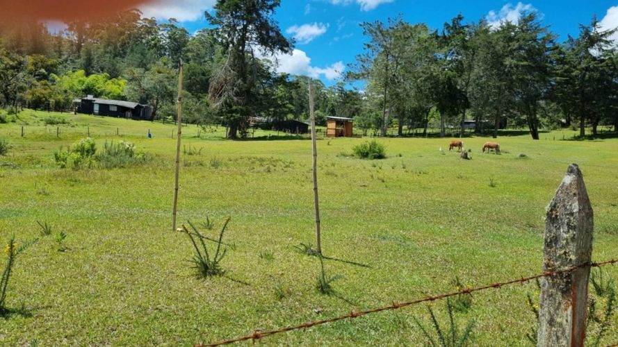 Lote en venta en Pantanillo, El Retiro, 7540 m² · foto 9 de 13