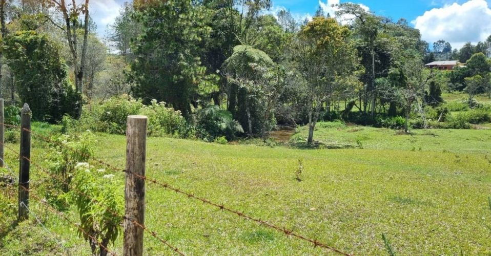 Lote en venta en Pantanillo, El Retiro, 7540 m² · foto 11 de 13