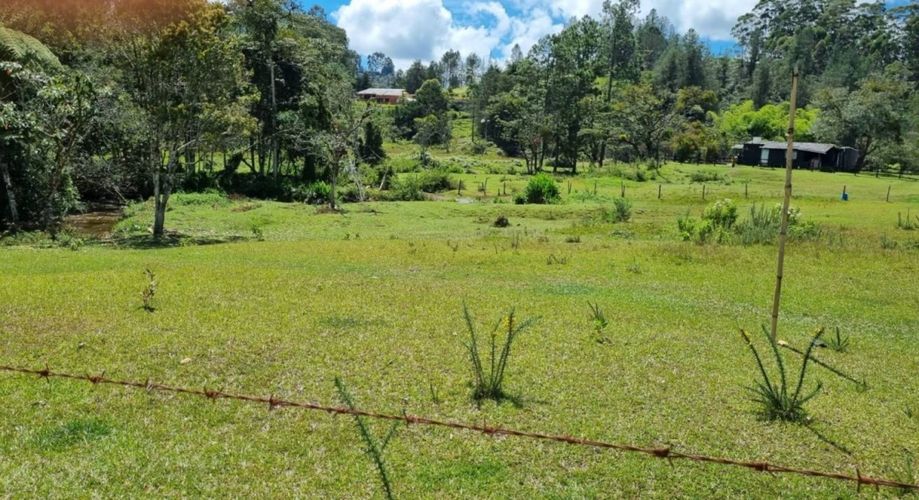 Lote en venta en Pantanillo, El Retiro, 7540 m² · foto 12 de 13