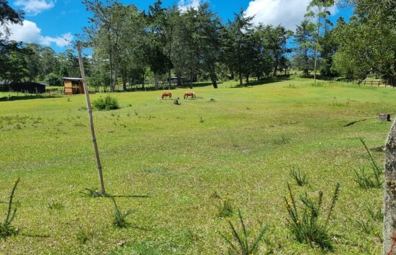 Lote en venta en Pantanillo, El Retiro, 7540 m² · foto 13 de 13