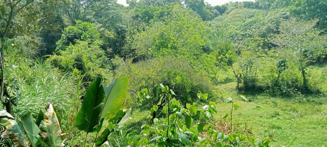 Lote en venta en El Salado, Ibagué, 9500 m² · foto 14 de 21