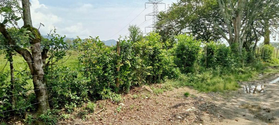 Lote en venta en El Salado, Ibagué, 9500 m² · foto 17 de 21