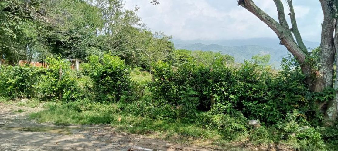 Lote en venta en El Salado, Ibagué, 9500 m² · foto 19 de 21