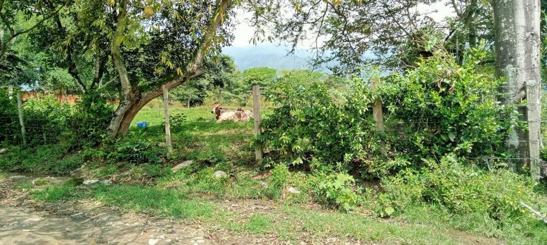 Lote en venta en El Salado, Ibagué, 9500 m² · foto 20 de 21