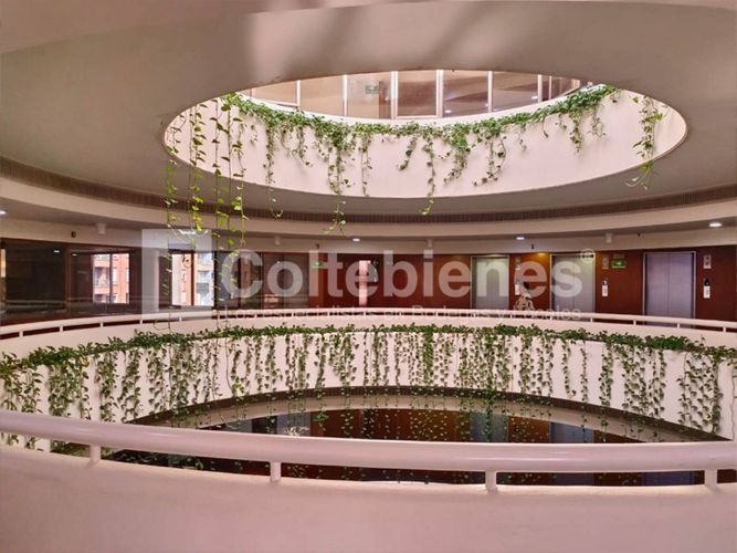 Oficina en arriendo en Castropol, Medellín, 155 m² · foto 15 de 18