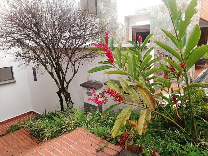 Casa de 3 alcobas en arriendo en El Poblado, Medellín, 343 m² · foto 19 de 19