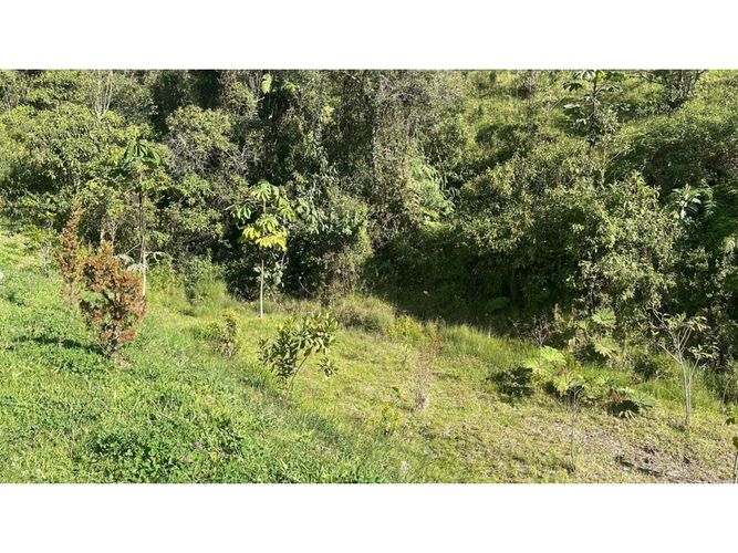 Finca en venta en El Portento, El Retiro, 280 m² · foto 18 de 21