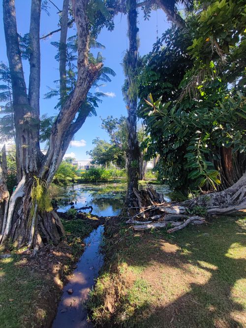 Lote en venta en Juan De Ampudia, Jamundí, 225 m² · foto 6 de 11