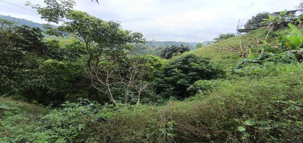 Lote en venta en La Trinidad, Manizales, 42 m² · foto 2 de 24