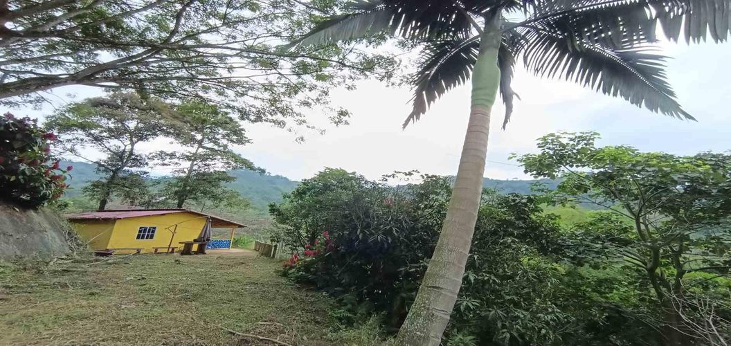 Lote en venta en La Trinidad, Manizales, 42 m² · foto 3 de 24