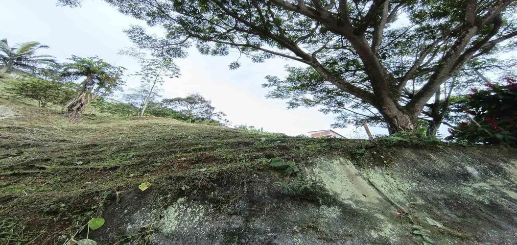 Lote en venta en La Trinidad, Manizales, 42 m² · foto 4 de 24
