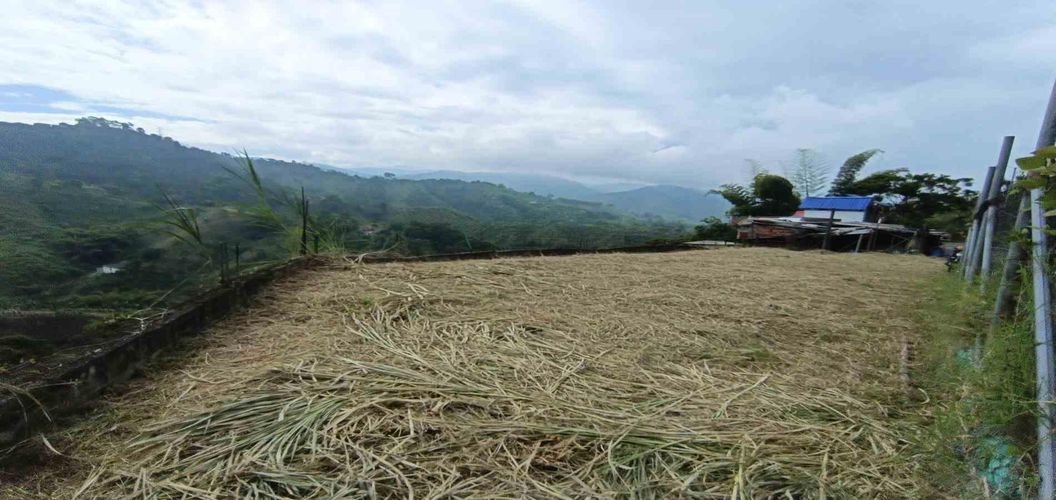 Lote en venta en La Trinidad, Manizales, 42 m² · foto 20 de 24