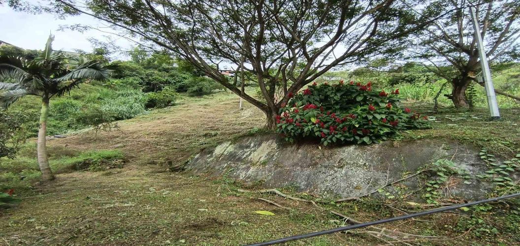 Lote en venta en La Trinidad, Manizales, 42 m² · foto 22 de 24