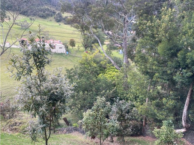 Lote en venta en El Salitre, La Calera, 4554 m² · foto 19 de 23