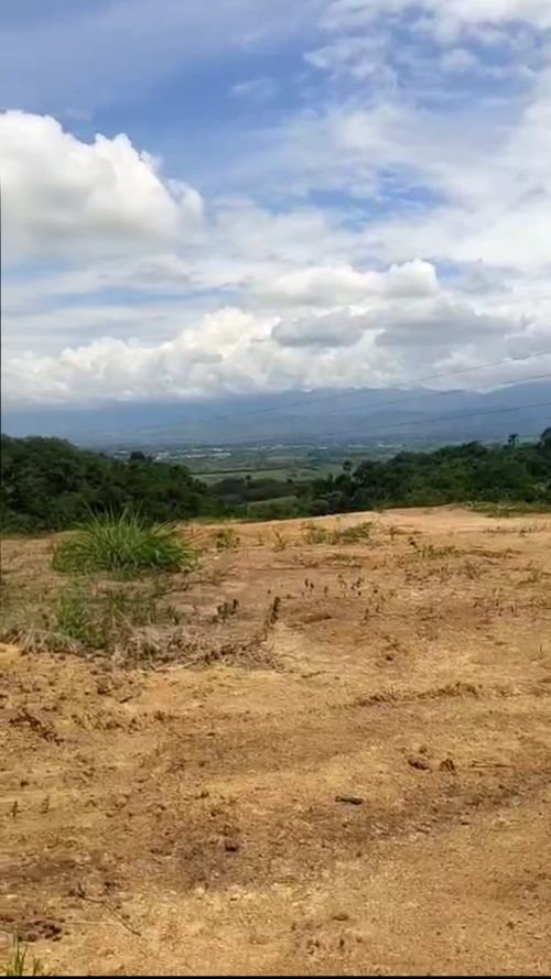 Lote en venta en Cerritos, Pereira · foto 14 de 16