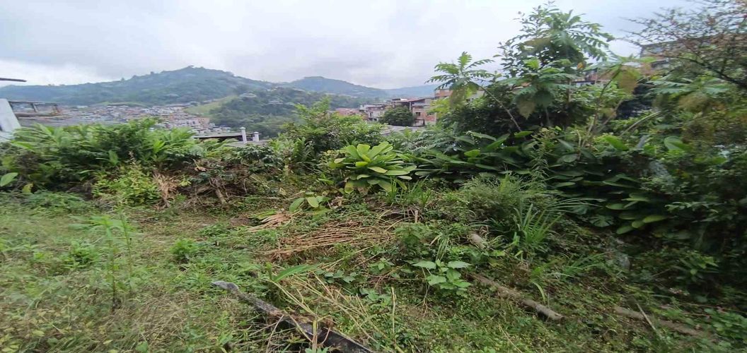 Lote en venta en Los Cedros, Manizales · foto 3 de 17
