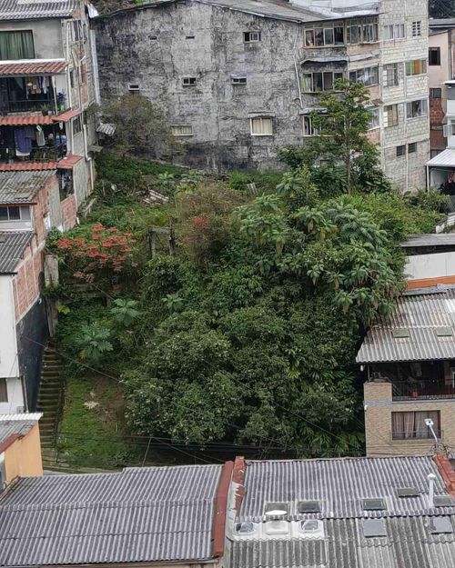 Lote en venta en Los Cedros, Manizales · foto 7 de 17