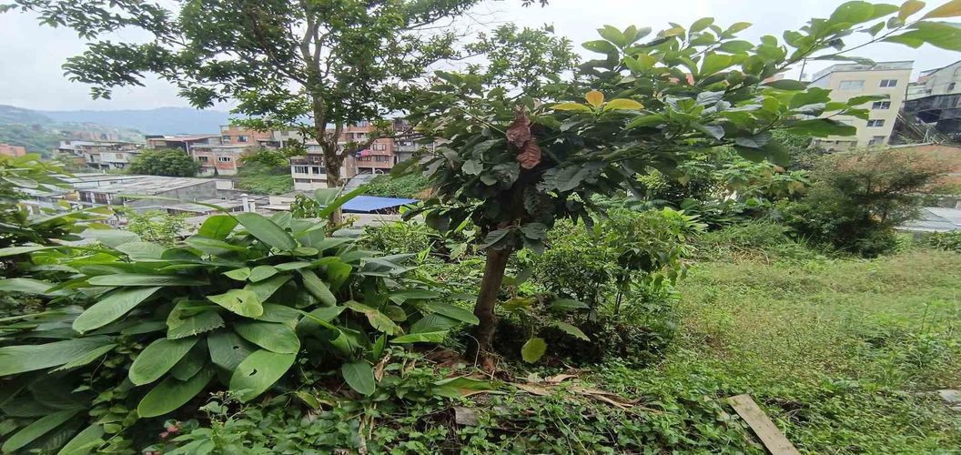 Lote en venta en Los Cedros, Manizales · foto 11 de 17