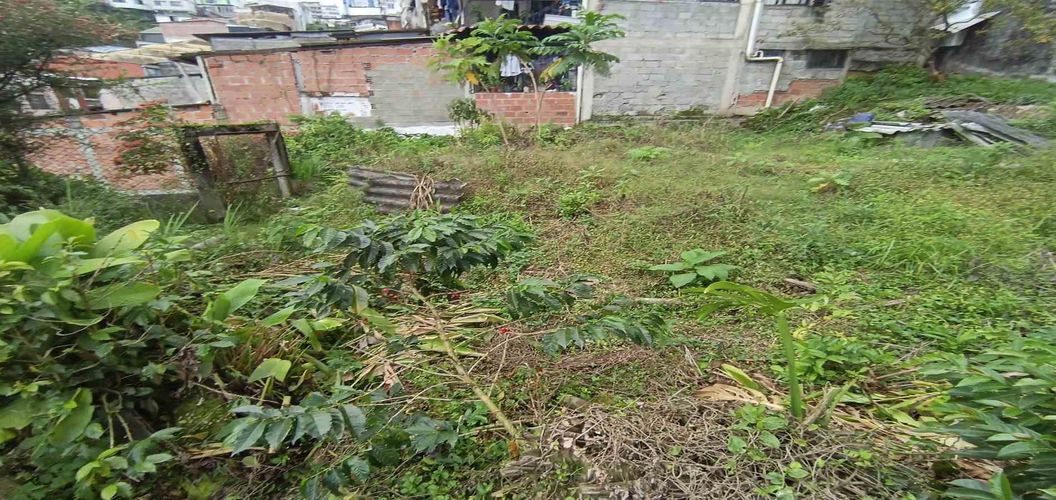 Lote en venta en Los Cedros, Manizales · foto 16 de 17