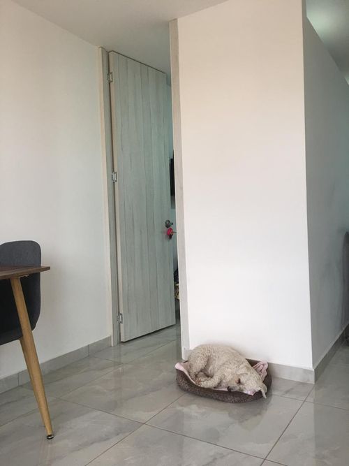 Apartamento de 2 alcobas en venta en Obrero, Armenia, 47 m² · foto 17 de 18