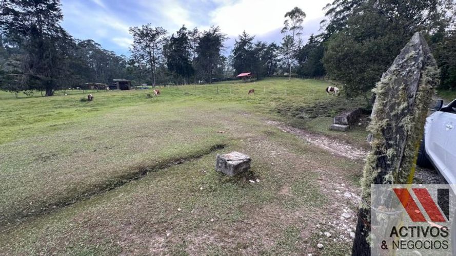 Lote en venta en Pantanillo, El Retiro, 7540 m² · foto 4 de 10