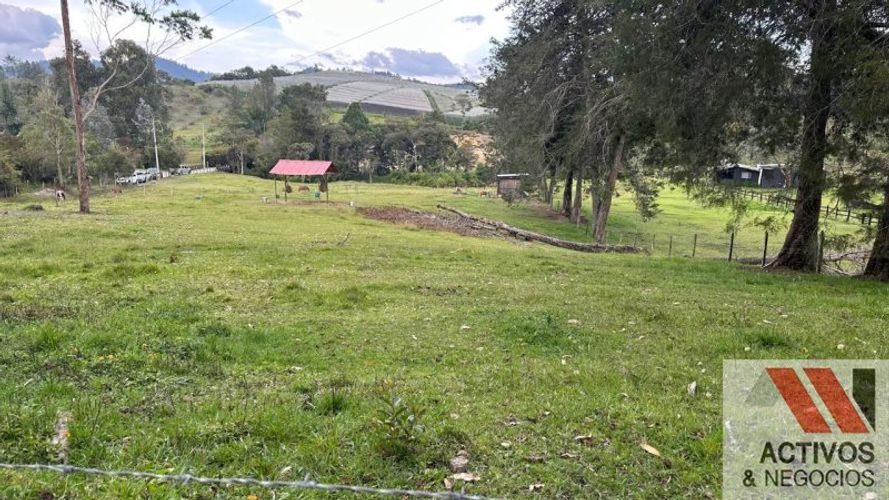 Lote en venta en Pantanillo, El Retiro, 7540 m² · foto 5 de 10