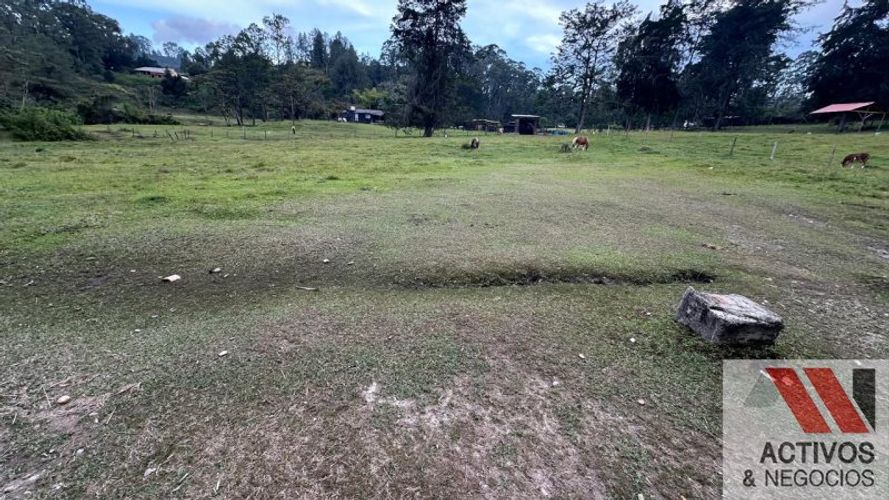 Lote en venta en Pantanillo, El Retiro, 7540 m² · foto 7 de 10