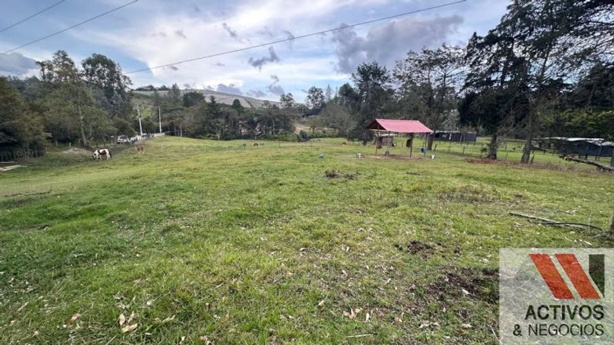 Lote en venta en Pantanillo, El Retiro, 7540 m² · foto 9 de 10