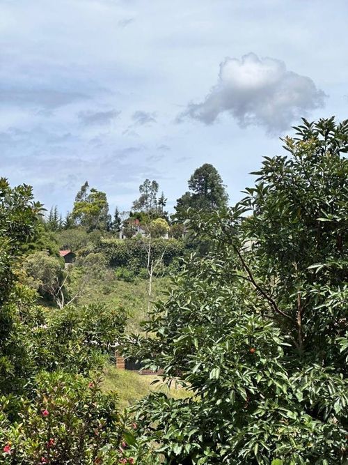 Casa de 9 alcobas en venta en El Porvenir, Rionegro, 500 m² · foto 4 de 21