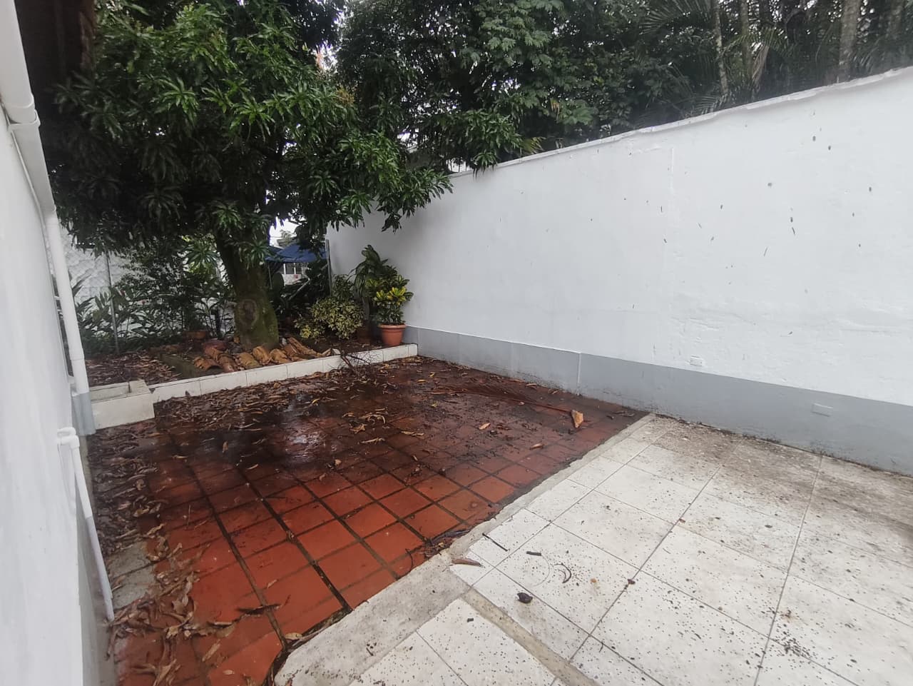 Casa en arriendo en El Poblado, Medellín · foto 8 de 12