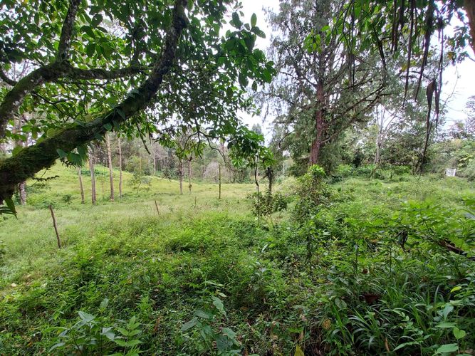Lote en venta en La Bella, Pereira · foto 4 de 20