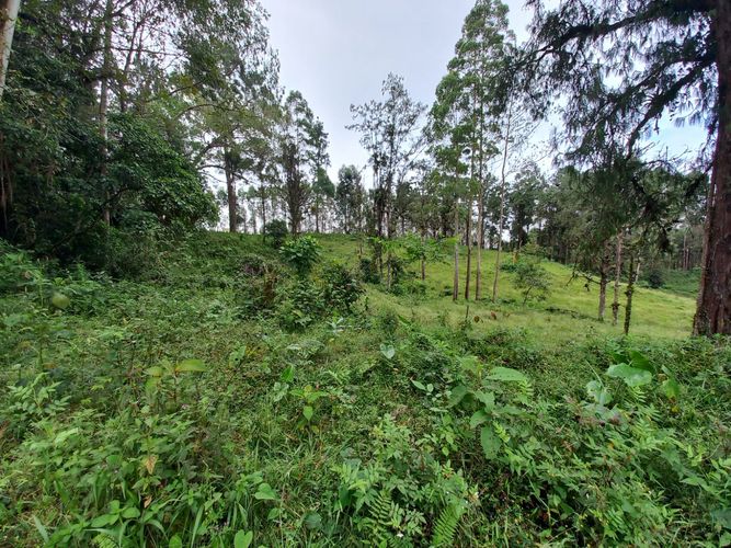 Lote en venta en La Bella, Pereira · foto 5 de 20