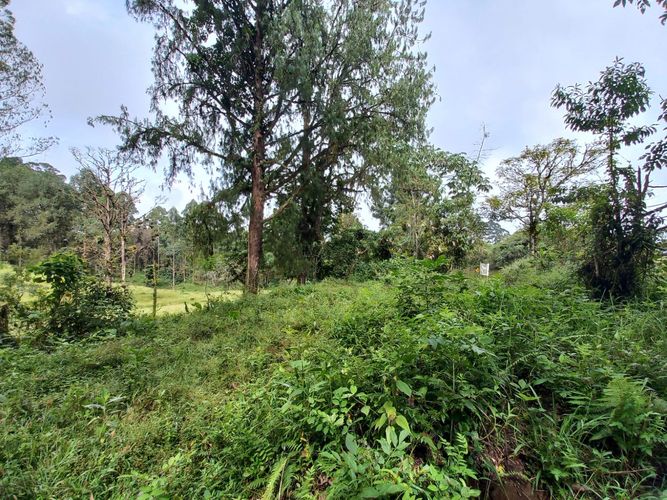Lote en venta en La Bella, Pereira · foto 6 de 20