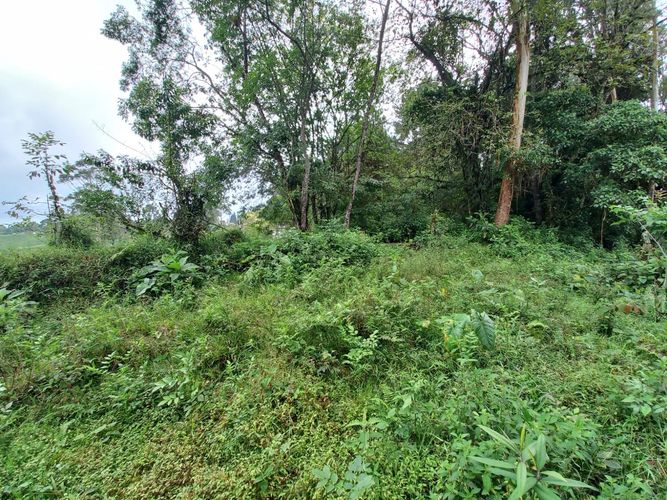 Lote en venta en La Bella, Pereira · foto 8 de 20