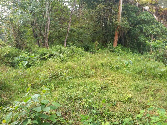 Lote en venta en La Bella, Pereira · foto 9 de 20