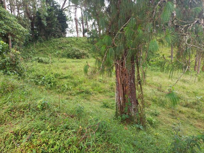 Lote en venta en La Bella, Pereira · foto 10 de 20