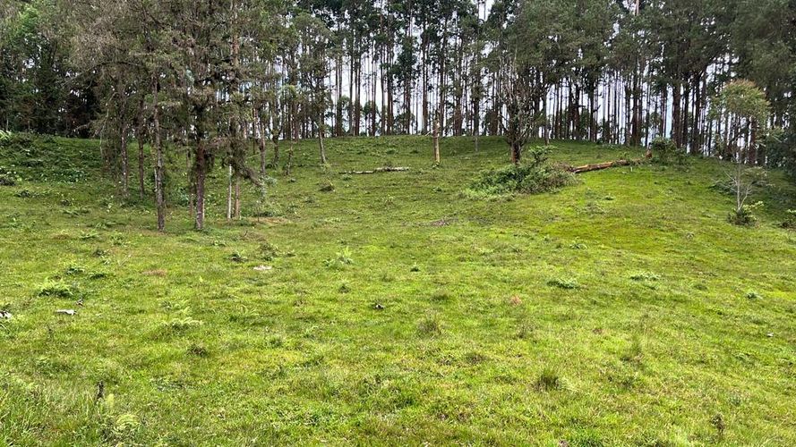 Lote en venta en La Bella, Pereira · foto 13 de 20