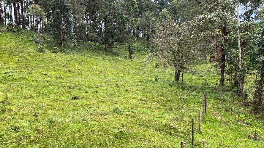 Lote en venta en La Bella, Pereira · foto 14 de 20
