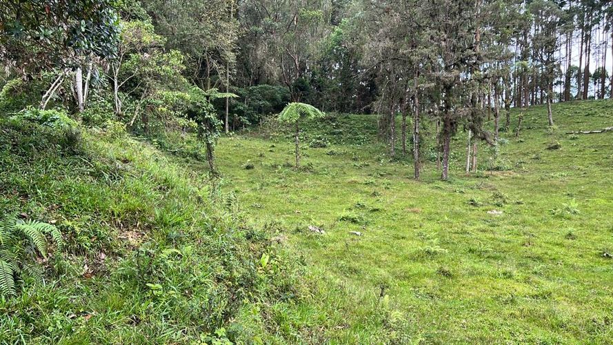 Lote en venta en La Bella, Pereira · foto 16 de 20