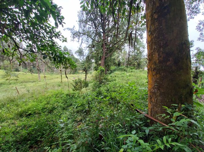 Lote en venta en La Bella, Pereira · foto 17 de 20