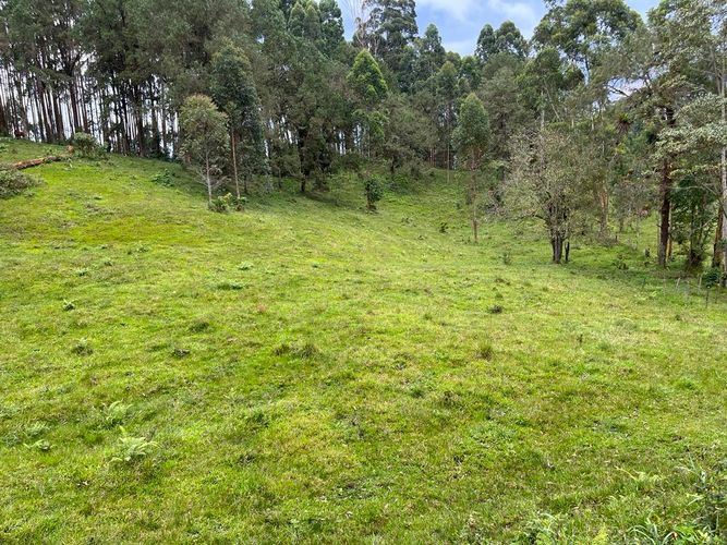 Lote en venta en La Bella, Pereira · foto 18 de 20
