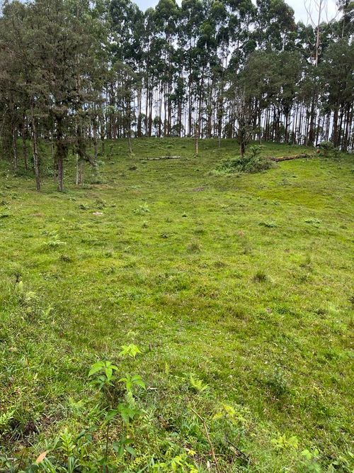 Lote en venta en La Bella, Pereira · foto 20 de 20